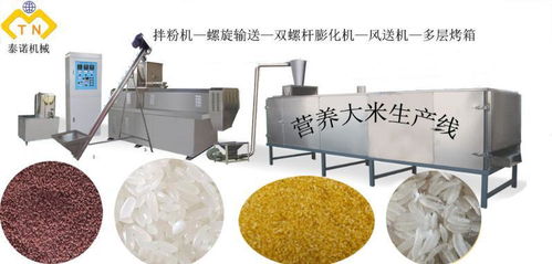 强化营养大米生产线设备与超滤膜装置 选购指南与厂家推荐
